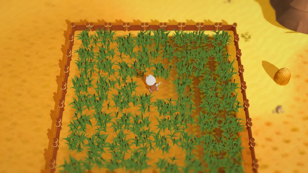 Noah in his field